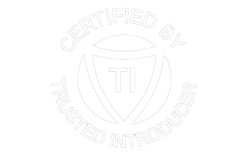 Logo TI