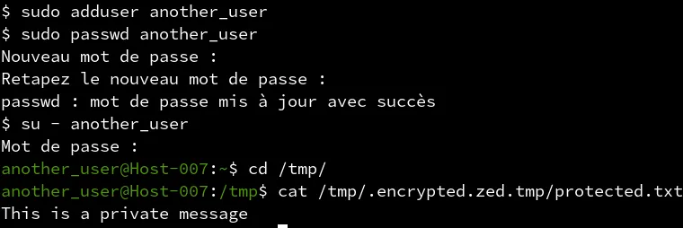 Rapport de vulnérabilité – Gestion des fichiers temporaires dans ZED